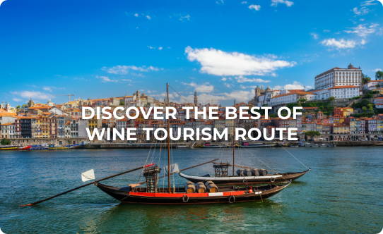 Embrace the experience