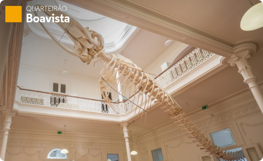 Galeria da Biodiversidade