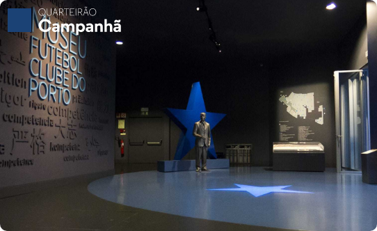 Estádio do Dragão e Museu FCPorto